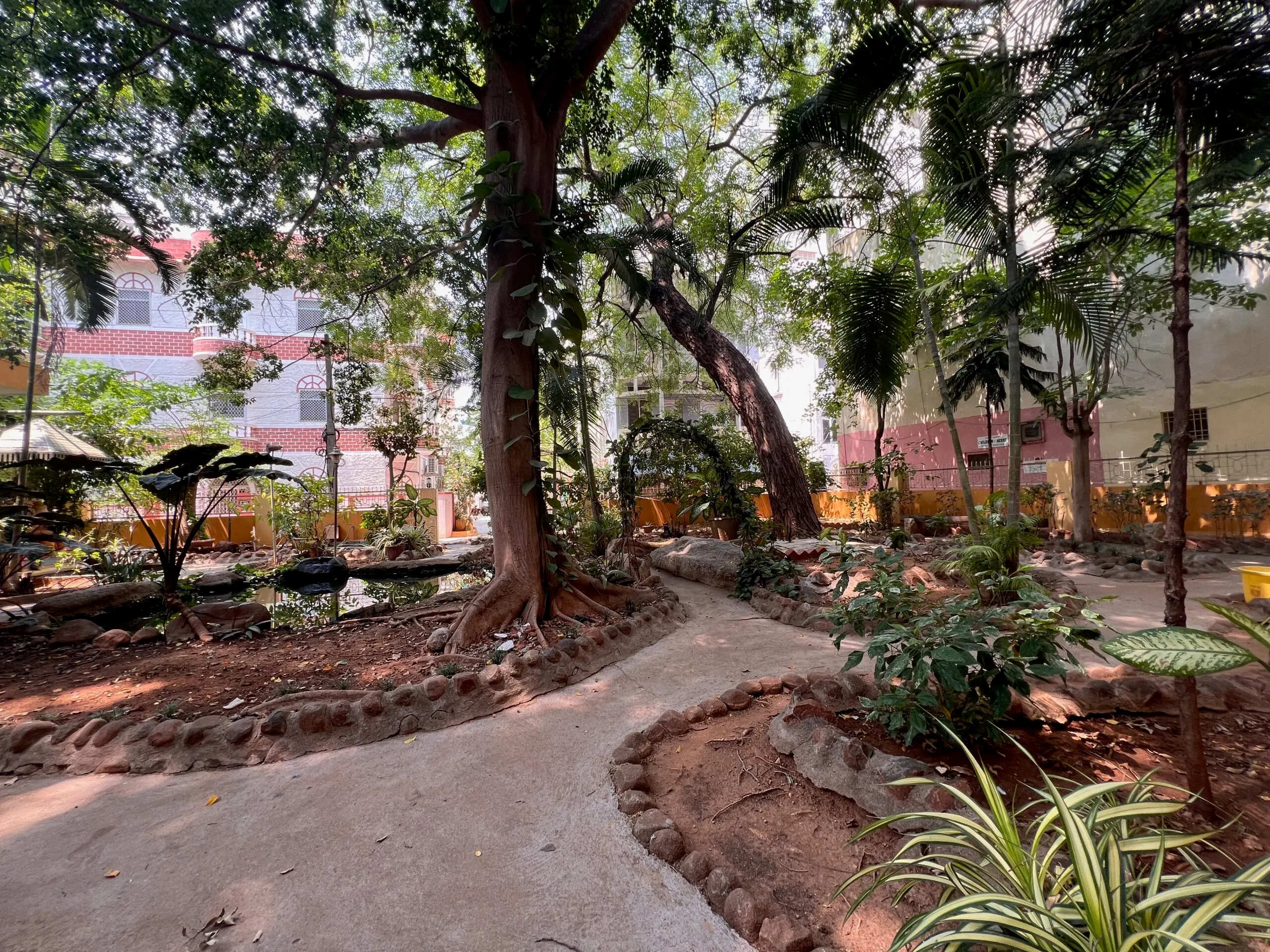 Natuur en licht in Zuid-India